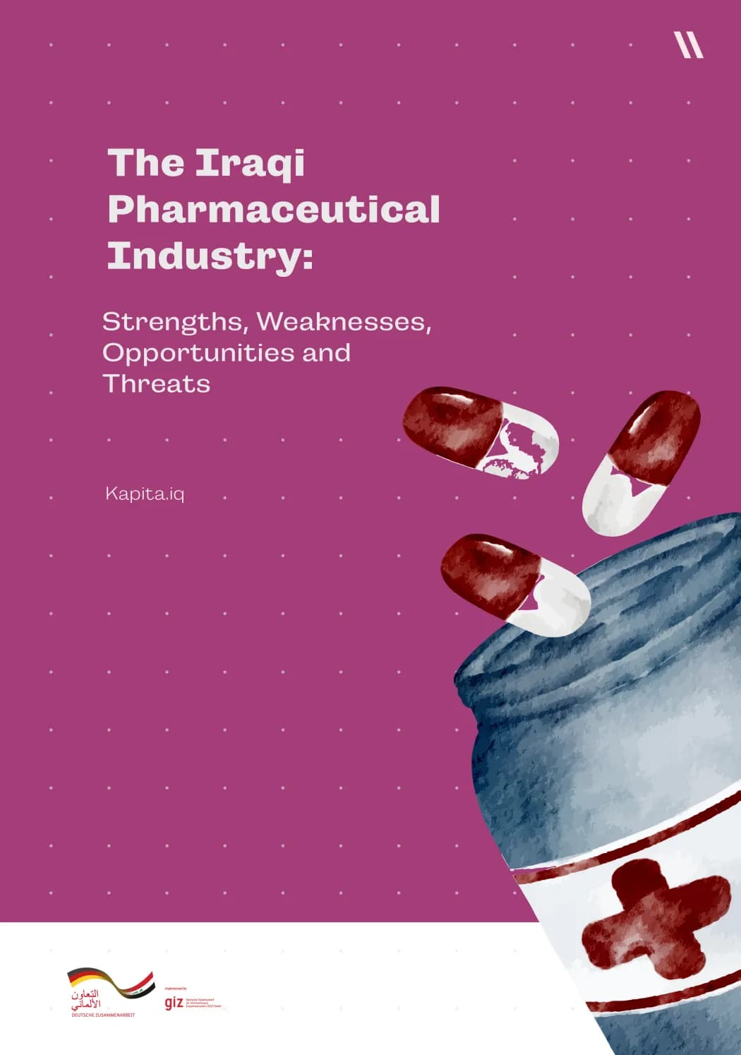 The Iraqi Pharmaceutical Industry: Strengths, Weaknesses, Opportunities and Threats