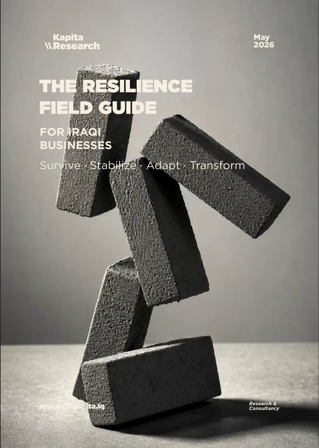 The Resilience Field Guide for Iraqi Businesses